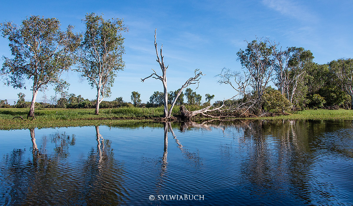 Yellow Water Morning Cruise,Kakadu NP,born4travel.de