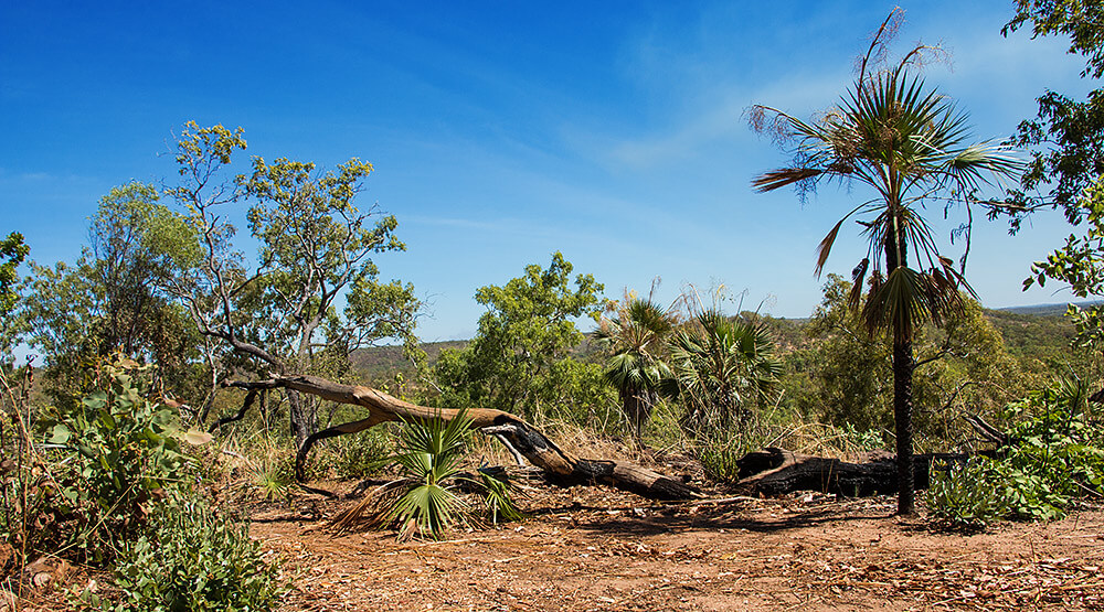 Bukubukluk Lookout,Kakadu NP,born4travel.de