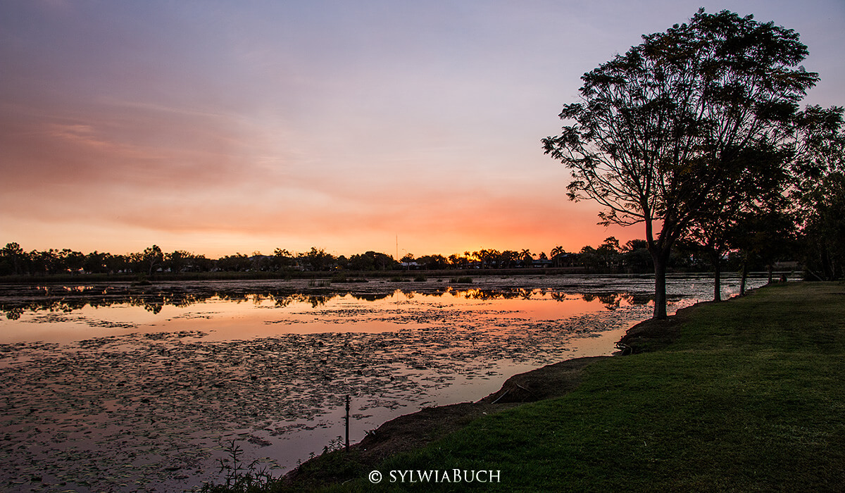 Lily Creek Lagoon Kununurra, born4travel.de