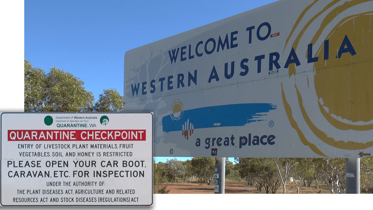 Border,born4travel.de