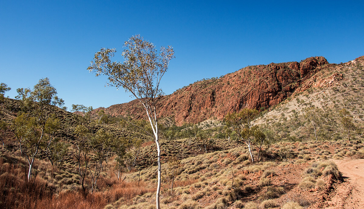 Punululu NP,Bungle Bungle,born4travel.de Punululu NP,Bungle Bungle,born4travel.de