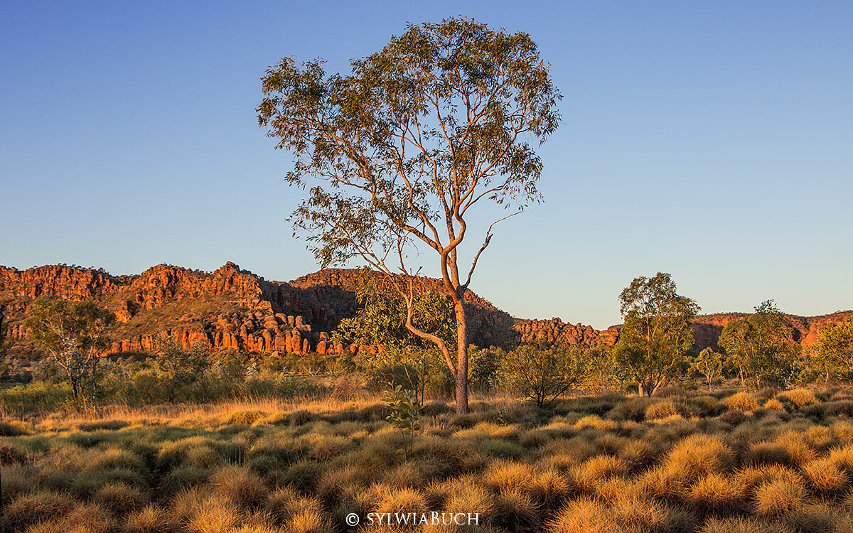Kungkalanayi Vistapoint, Punululu NP,Bungle Bungle,born4travel.de Kungkalanayi Vistapoint, Punululu NP,Bungle Bungle,born4travel.de