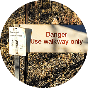 Punululu NP,Bungle Bungle,born4travel.de