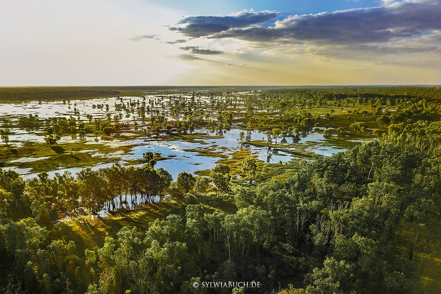 Wetlands, Billabong,Wetlands, Billabong,Kakadu NP,Northern Territory,Australias,ylwiabuch.de Wetlands, Billabong,Kakadu NP,Northern Territory,Australia,born4travel.de