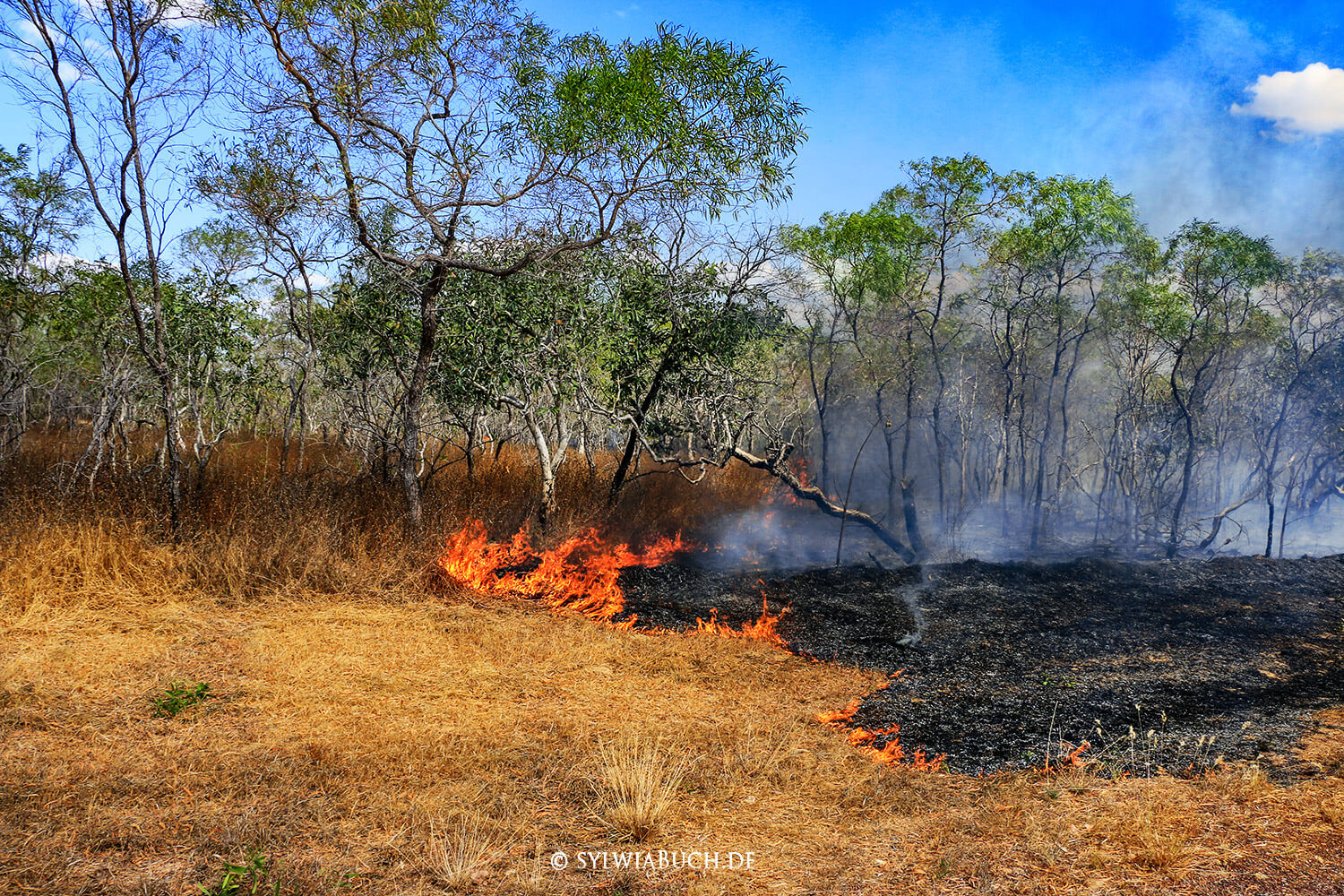 Bushfire, Buschfeuer,Fire, Kakdu NP,Northern Territory,Australia,born4travel.de Bushfire, Buschfeuer,Fire,Northern Territory,Australia, Kakdu NP,born4travel.de