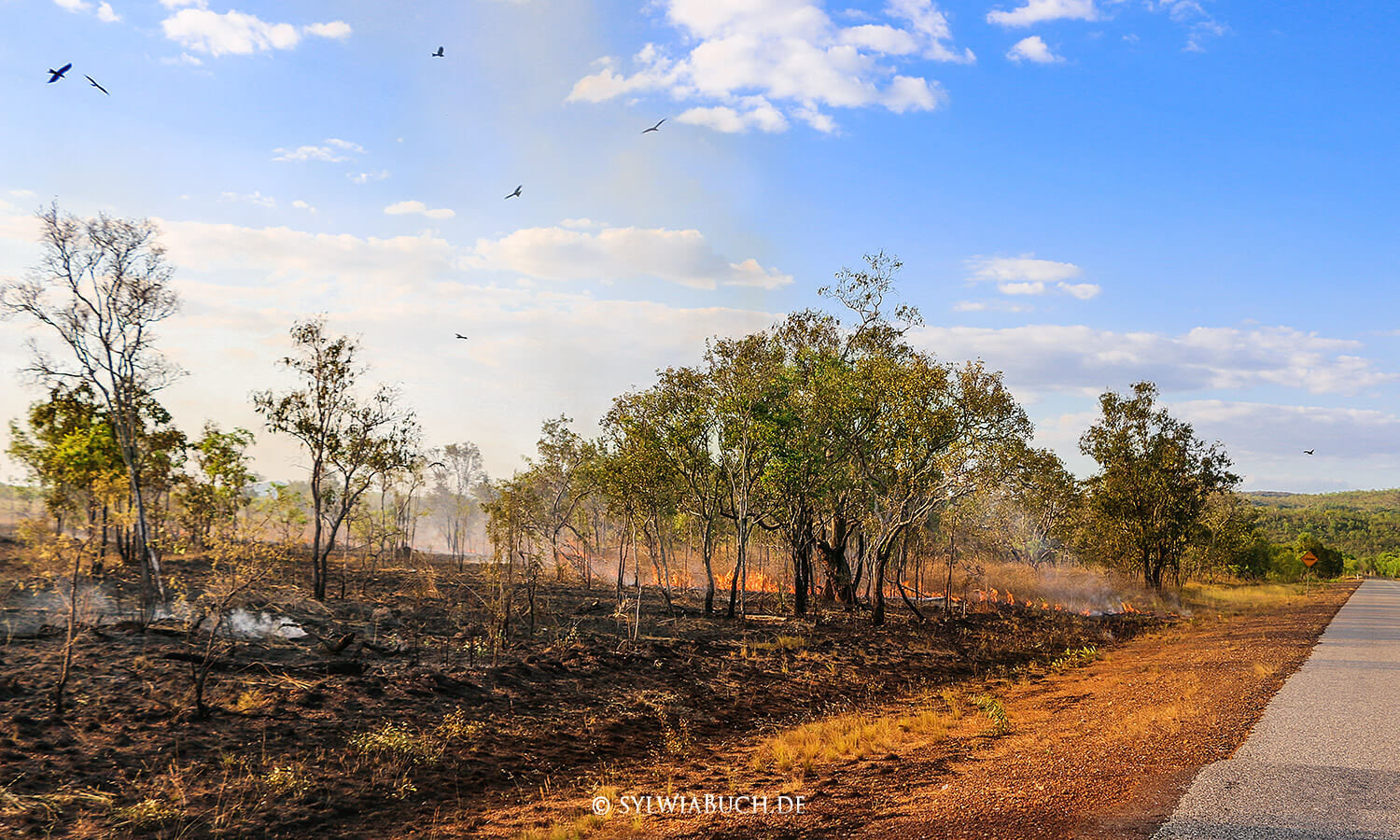 Bushfire, Buschfeuer,Fire,Kakadu NP,Northern Territory,Australia,born4travel.de Bushfire, Buschfeuer,Fire,Australia,Northern Territory,Kakadu NP,born4travel.de