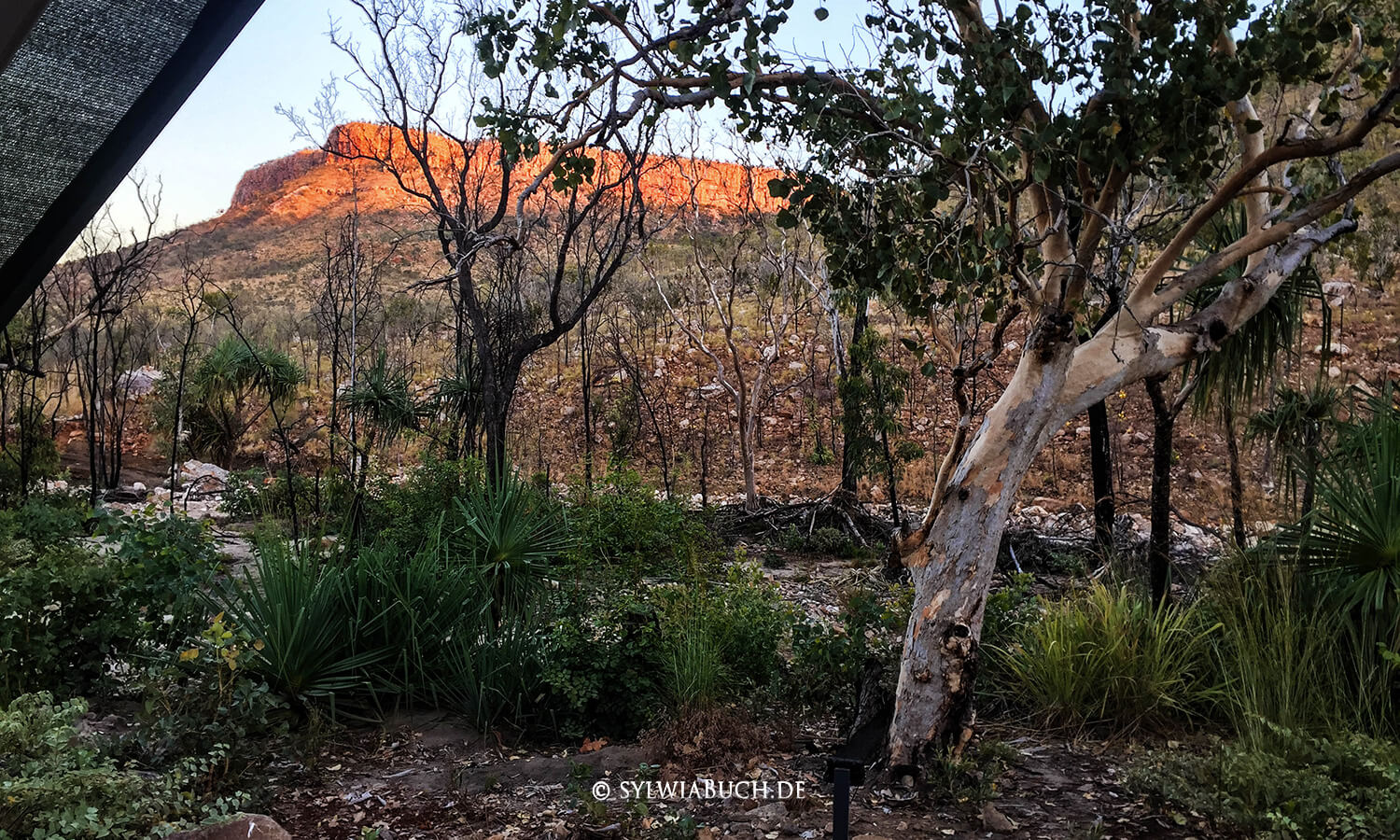 El Questro,Emma Gorge Resort,Gibb River Road,Australien,born4travel.de