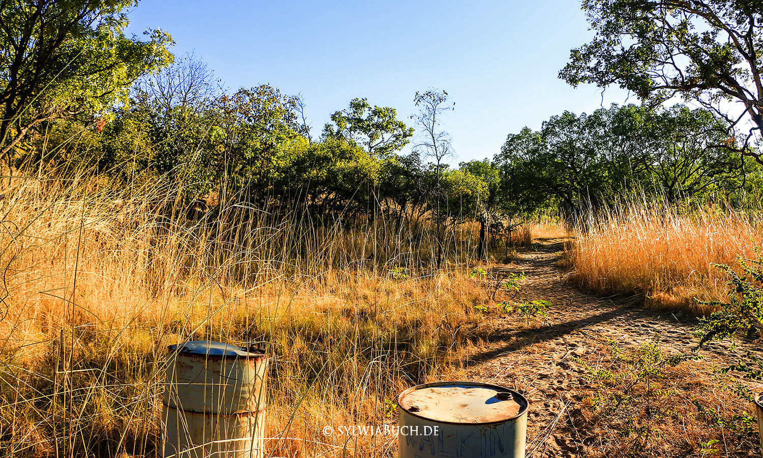 Ellenbrae Station,Gibb River Road,Australien,born4travel.de