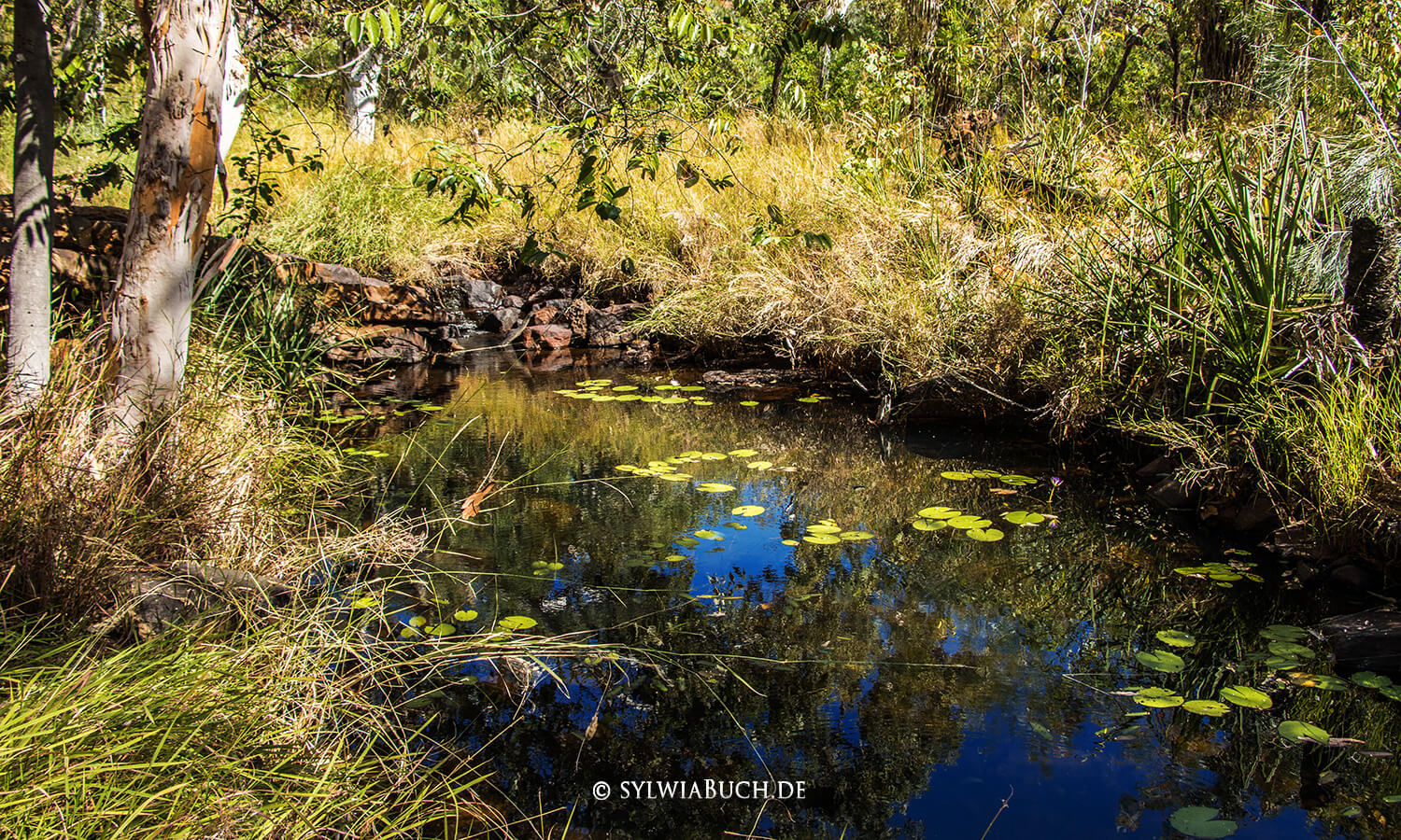 Galvans Gorge,Gibb River Road,Australien,born4travel.de
