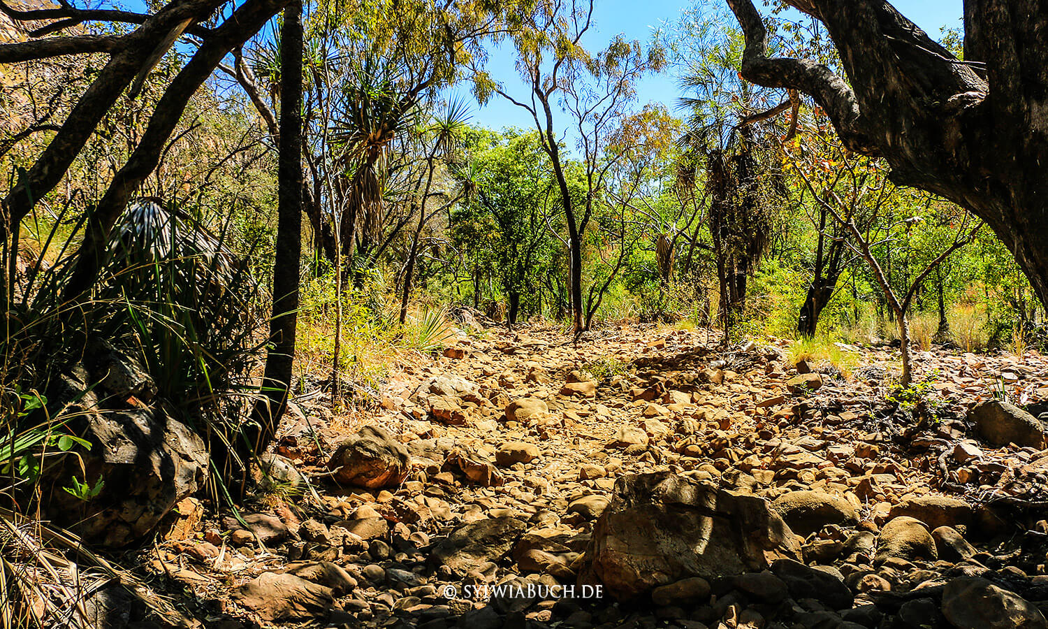 Bell Gorge,Gibb River Road,Australien,born4travel.de Bell Gorge,Gibb River Road,Australien,born4travel.de