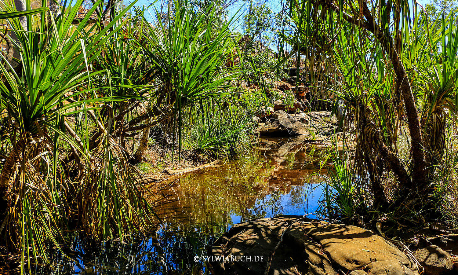 Bell Gorge,Gibb River Road,Australien,born4travel.de Bell Gorge,Gibb River Road,Australien,born4travel.de