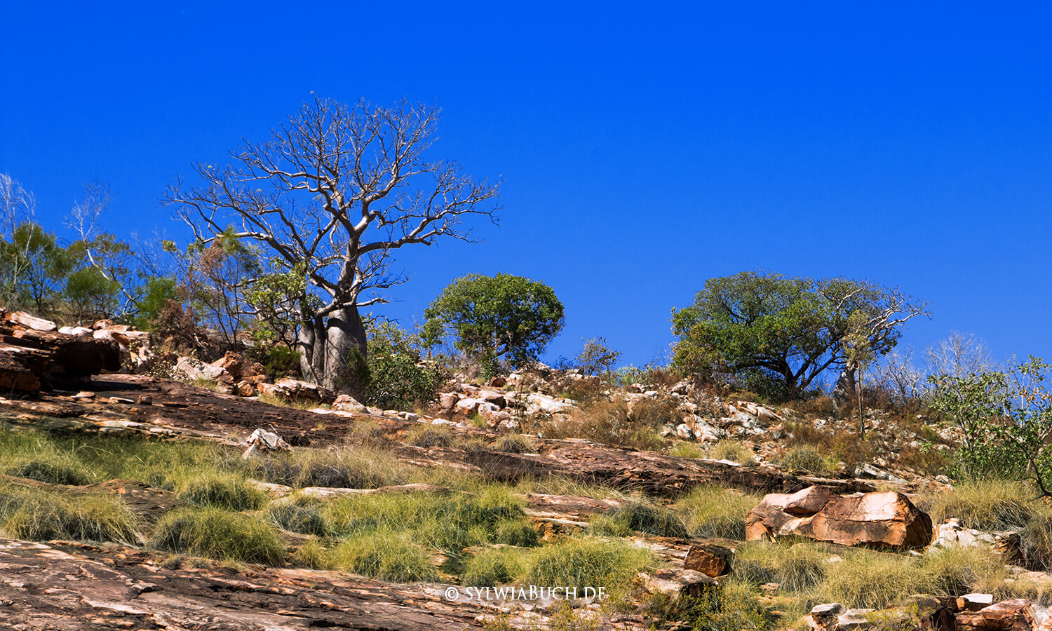 Bell Gorge,Gibb River Road,Australien,born4travel.de Bell Gorge,Gibb River Road,Australien,born4travel.de