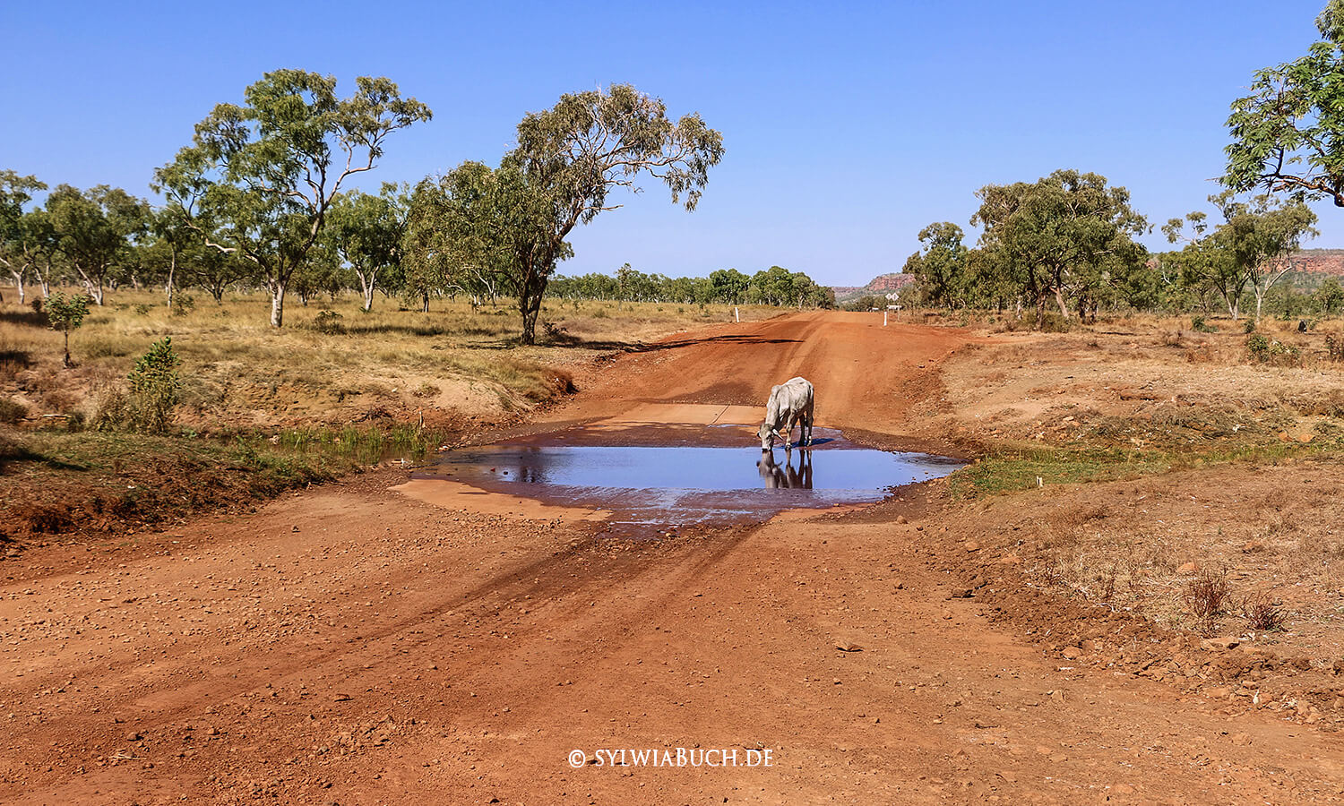 Bell Gorge,Gibb River Road,Australien,born4travel.de Bell Gorge Resort,Gibb River Road,Australien,born4travel.de