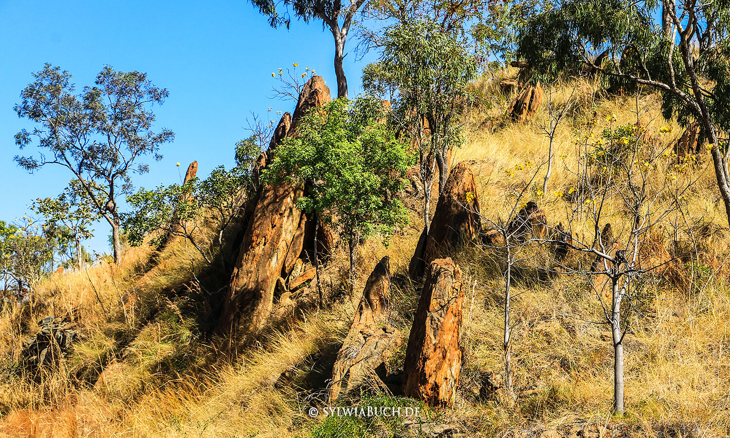 Gibb River Road,Australien,born4travel.de