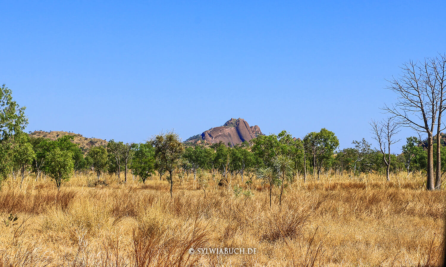 Gibb River Road,Australien,born4travel.de