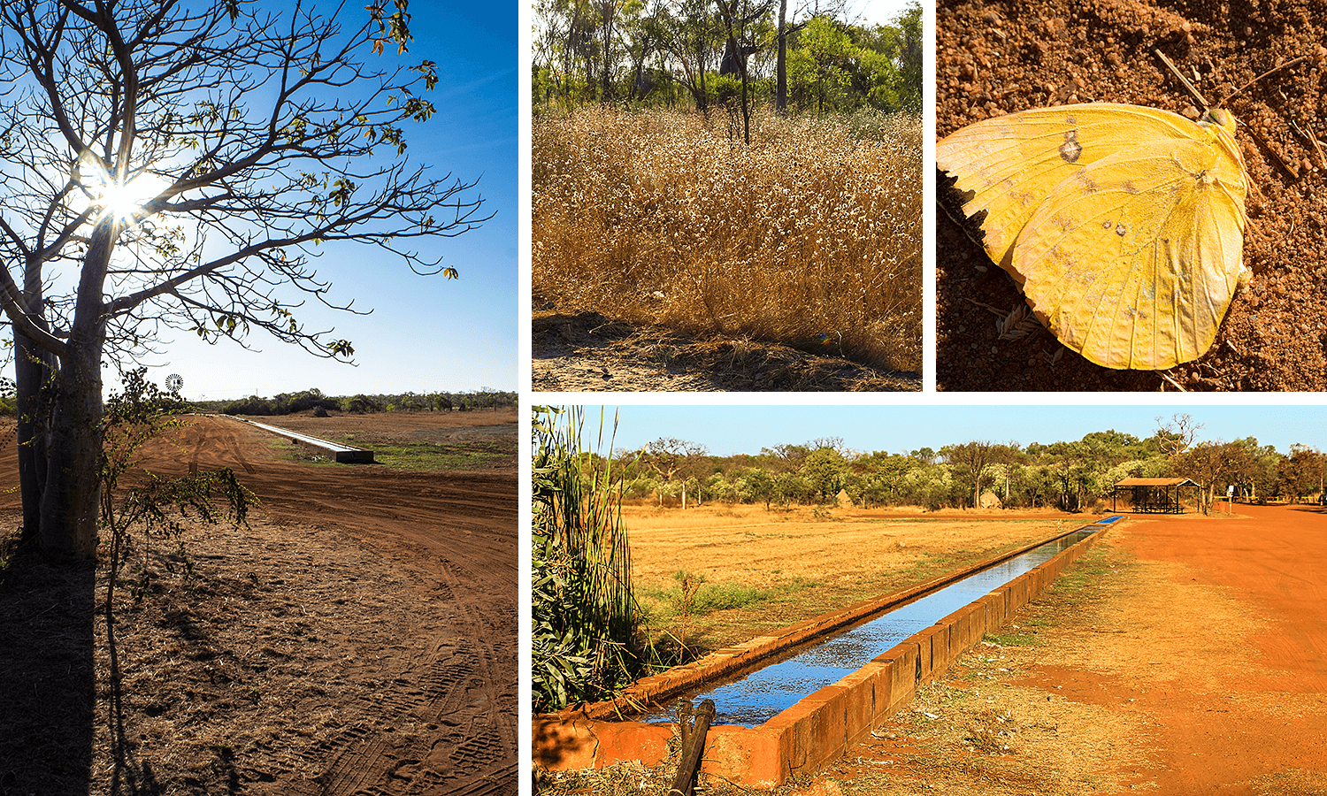,Gibb River Road,Australien,born4travel.de