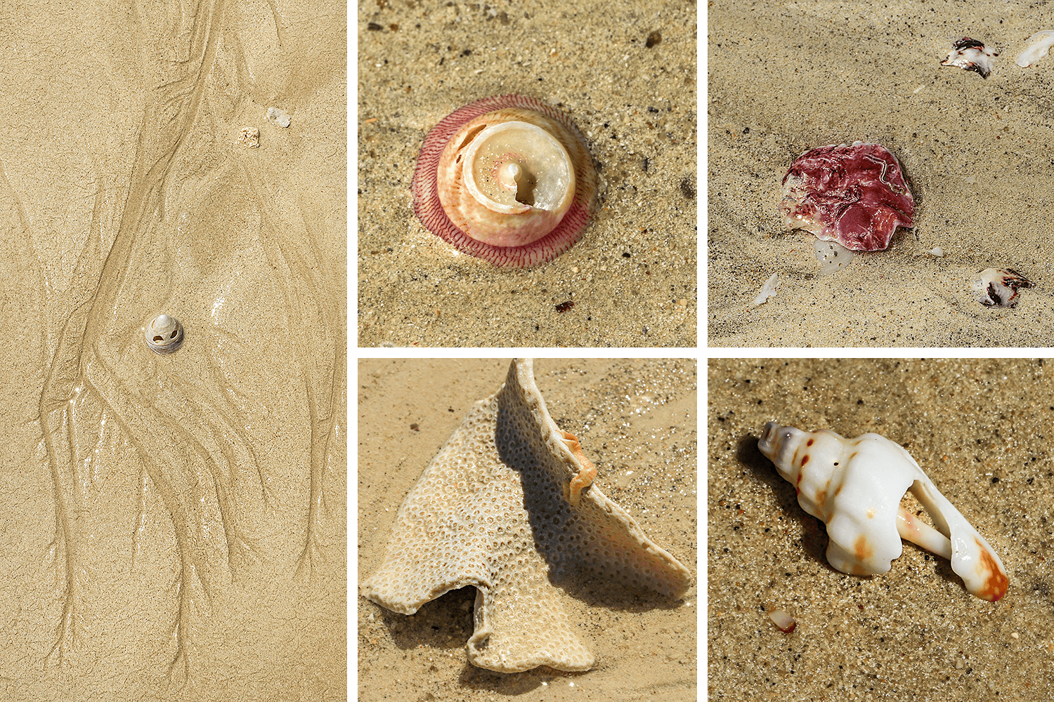 Eastern Beach,Kooljaman,Dampier Peninsula,Drone,Australien,born4travel.de Kooljaman,Eastern Beach,Dampier Peninsula,Drone,Australien,born4travel.de