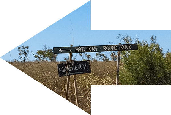 Born4Travel,Dampier Peninsula,Australien,born4travel.de,born4travel.de