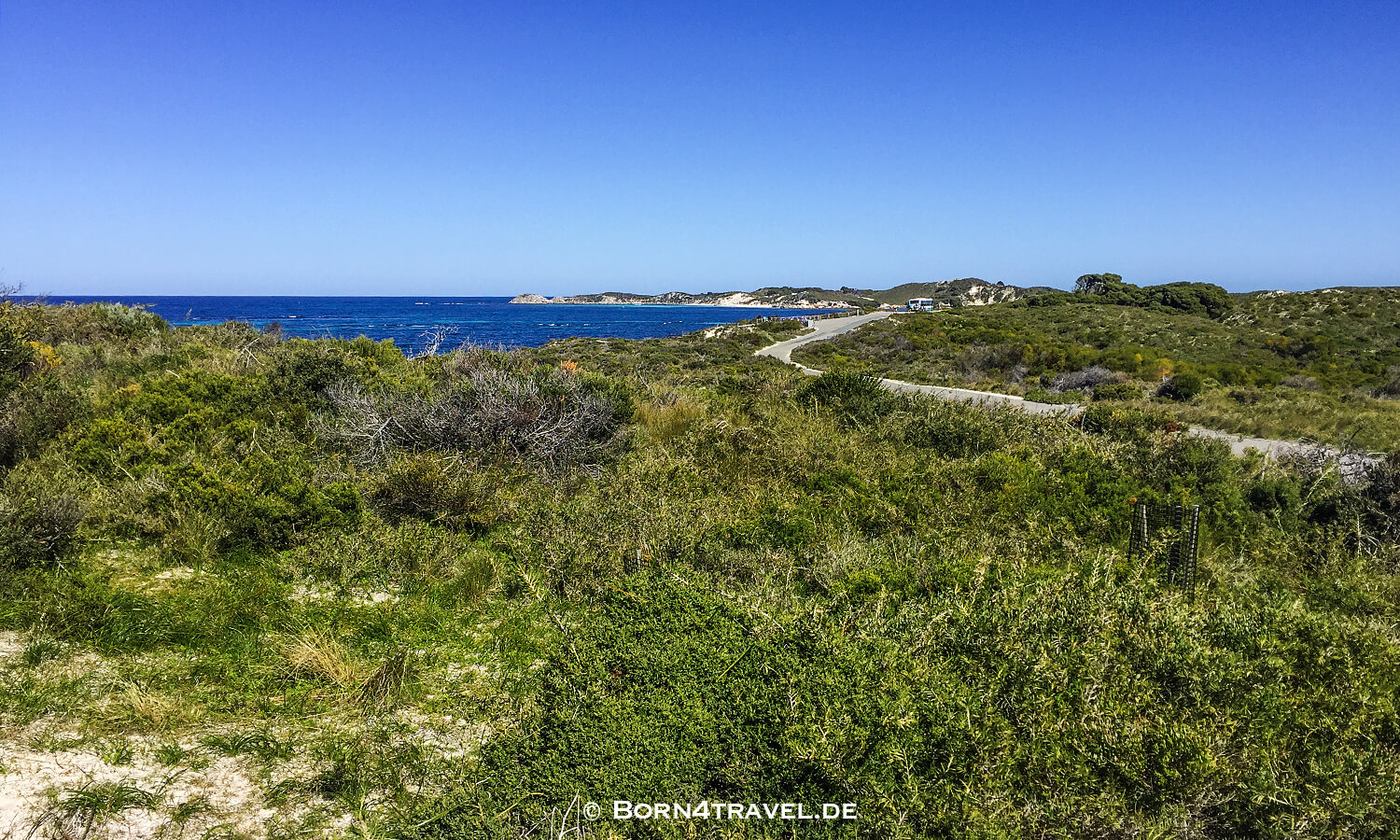 born4travel.de,Parker Point Rd. - Loop,Rottnest Island mit Fahrrad, Rottnest by bike,born4travel.de born4travel.de,Parker Point Rd. - Loop,Rottnest Island mit Fahrrad, Rottnest by bike,Australien,born4travel.de