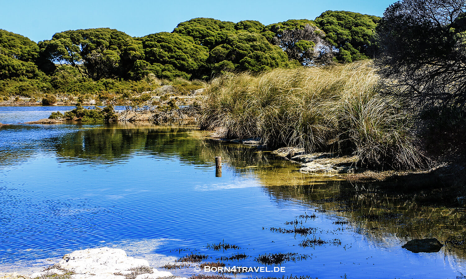 born4travel.de,Bickley Swamp,Rottnest Island mit Fahrrad, Rottnest by bike,Australien,born4travel.de born4travel.de,Bickley Swamp,Rottnest Island mit Fahrrad, Rottnest by bike,,Skyline Perth,Australien,born4travel.de