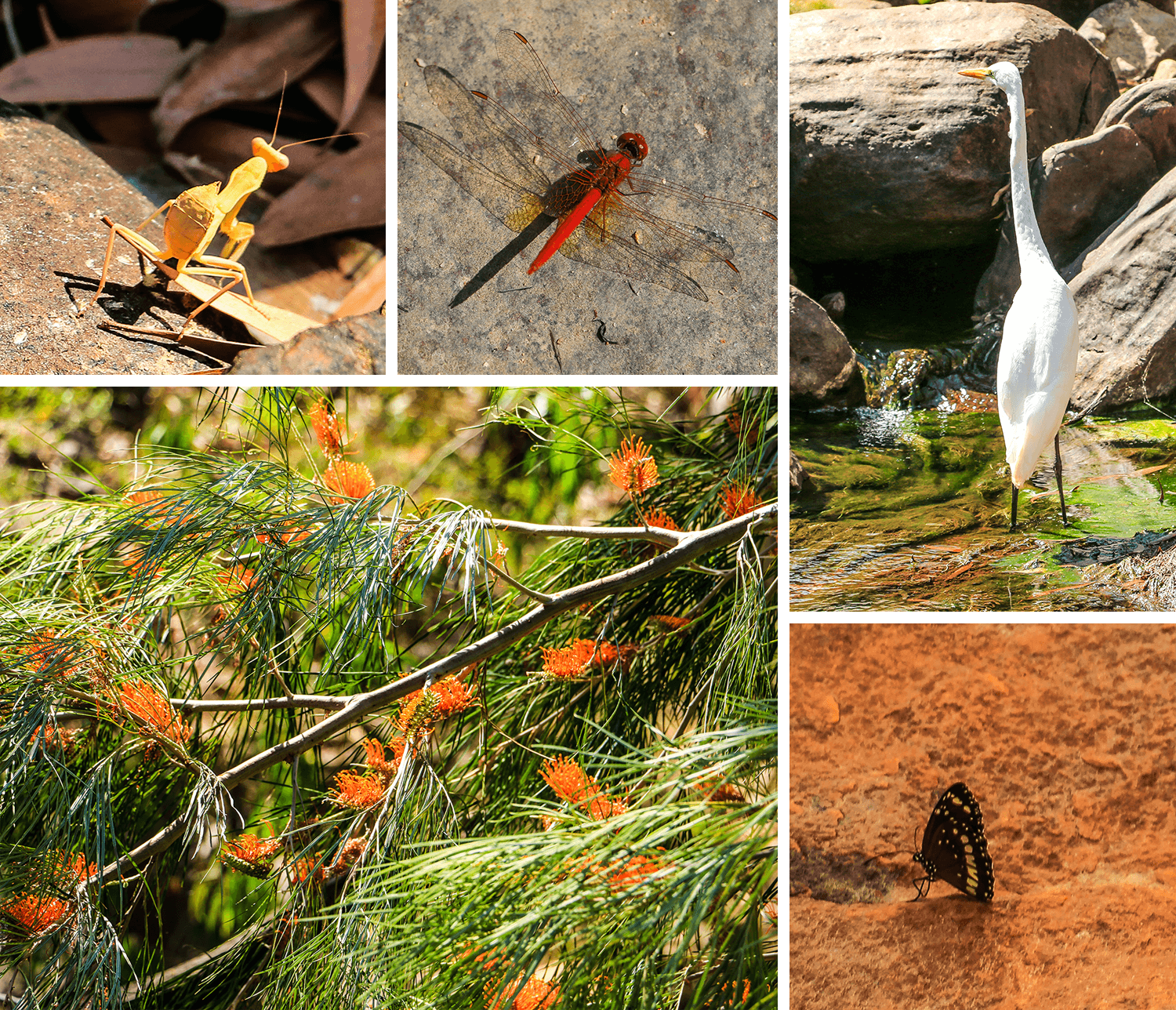 Umbrawarra Gorge Nature Park,Australia, Northern Territory, Gorge,born4travel.de Umbrawarra Gorge Nature Park,Australia, Northern Territory, Gorge,born4travel.de