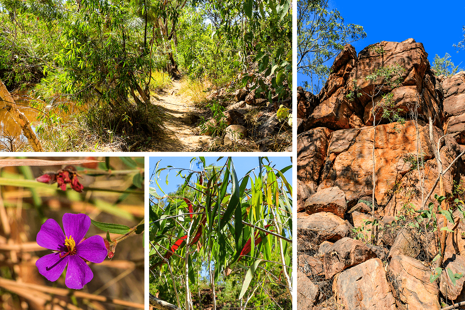 Umbrawarra Gorge Nature Park,Australia, Northern Territory, Gorge,born4travel.de Umbrawarra Gorge Nature Park,Australia, Northern Territory, Gorge,born4travel.de