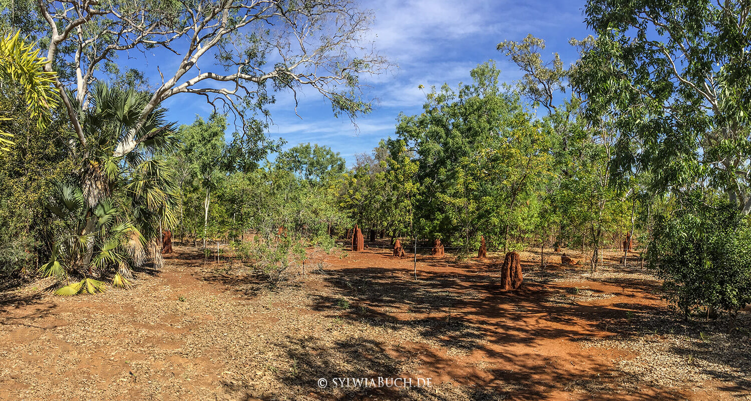 bitterspringscabins,northern Territor,australien,born4travel.de bitterspringscabins,northern Territory,australien,born4travel.de