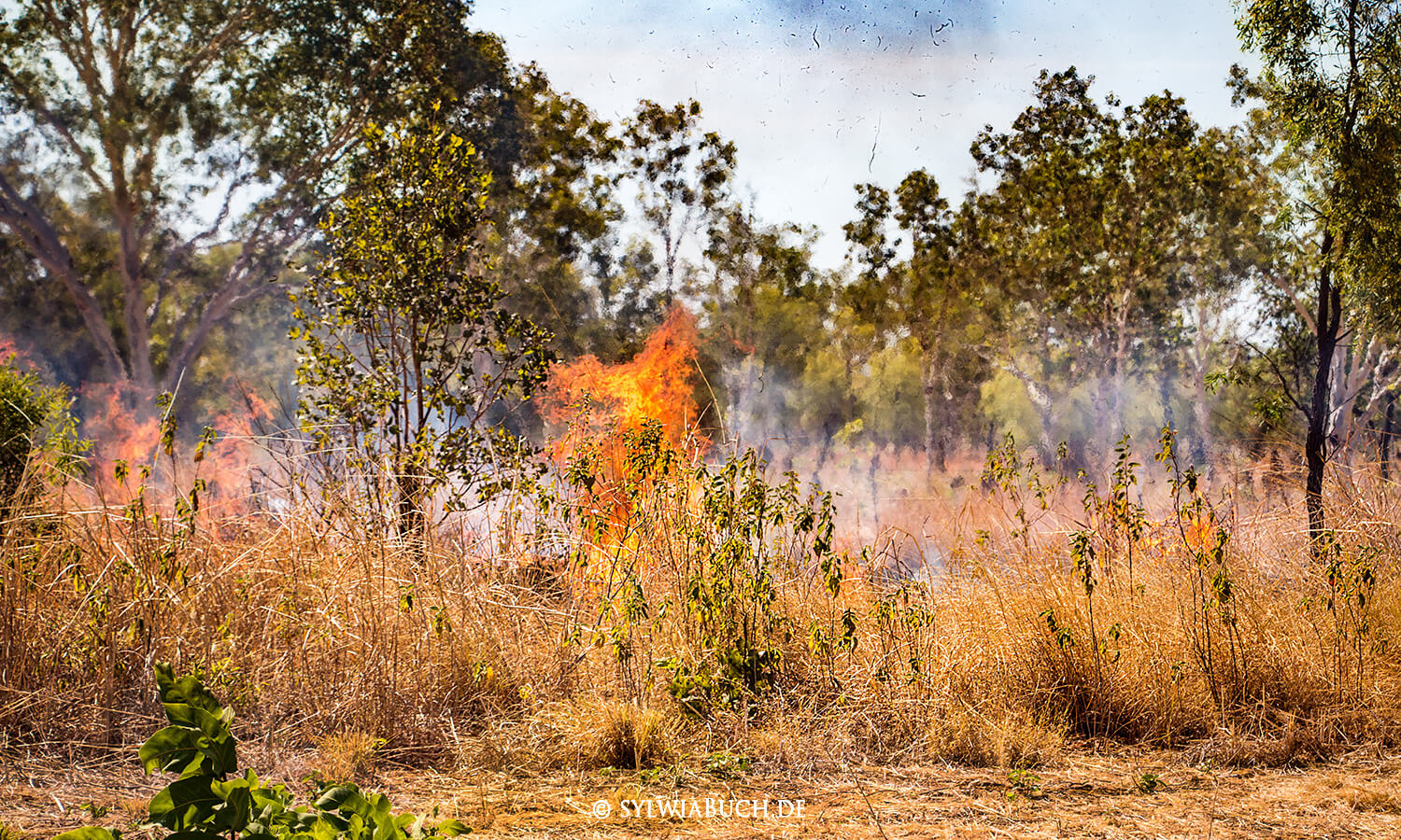 Bushfire, Buschfeuer,Feuer,Northern Territory,australien,born4travel.de Bushfire, Buschfeuer,Feuer,Northern Territory,australien,born4travel.de