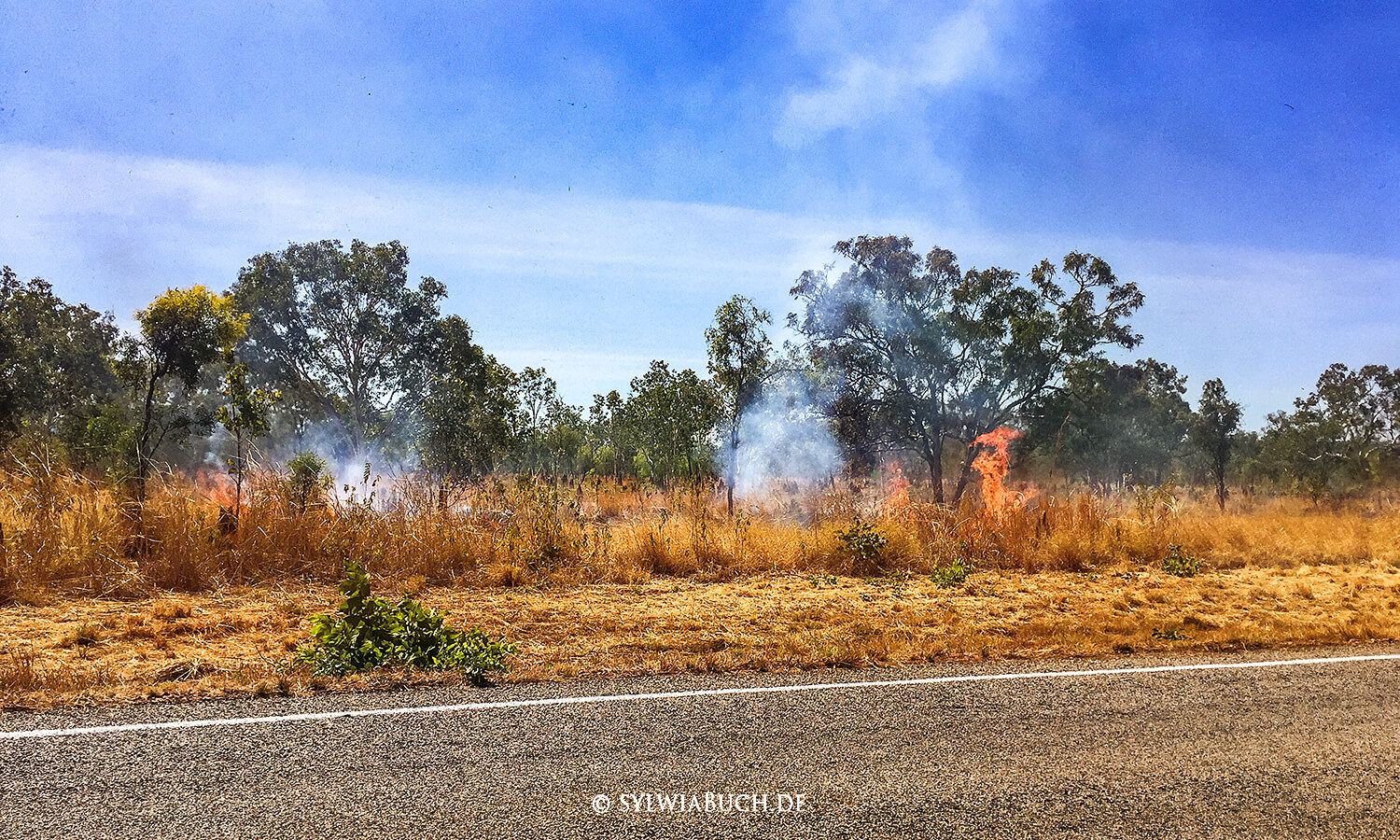 Bushfire, Buschfeuer,Feuer,Northern Territory,australien,born4travel.de Bushfire, Buschfeuer,Feuer,Northern Territory,australien,born4travel.de