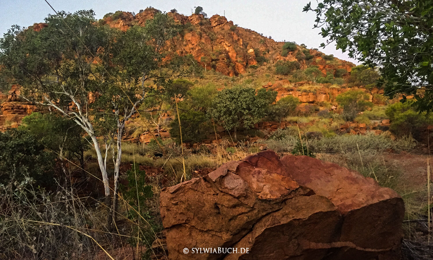 Kellys Knob,Sunset,Moonrise,Kununurra,Western Australia,australien,born4travel.de