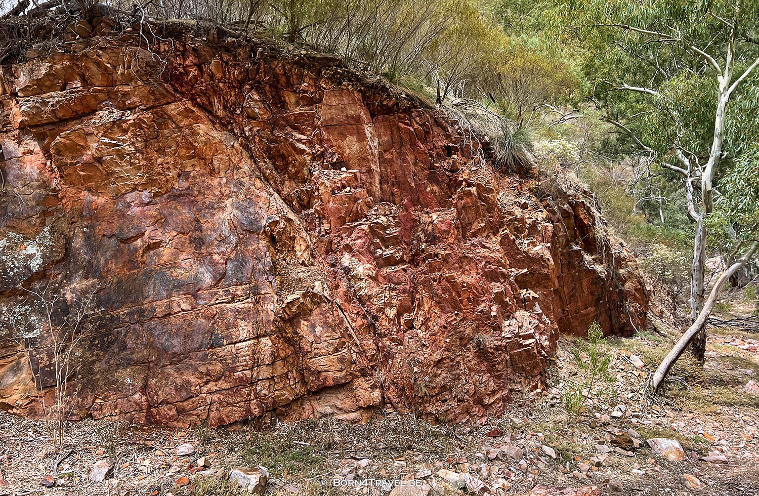 Adelaide,South Australia,born4travel.de Adelaide,South Australia,born4travel.de