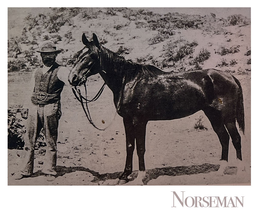 Norseman,Western Australia,born4travel.de