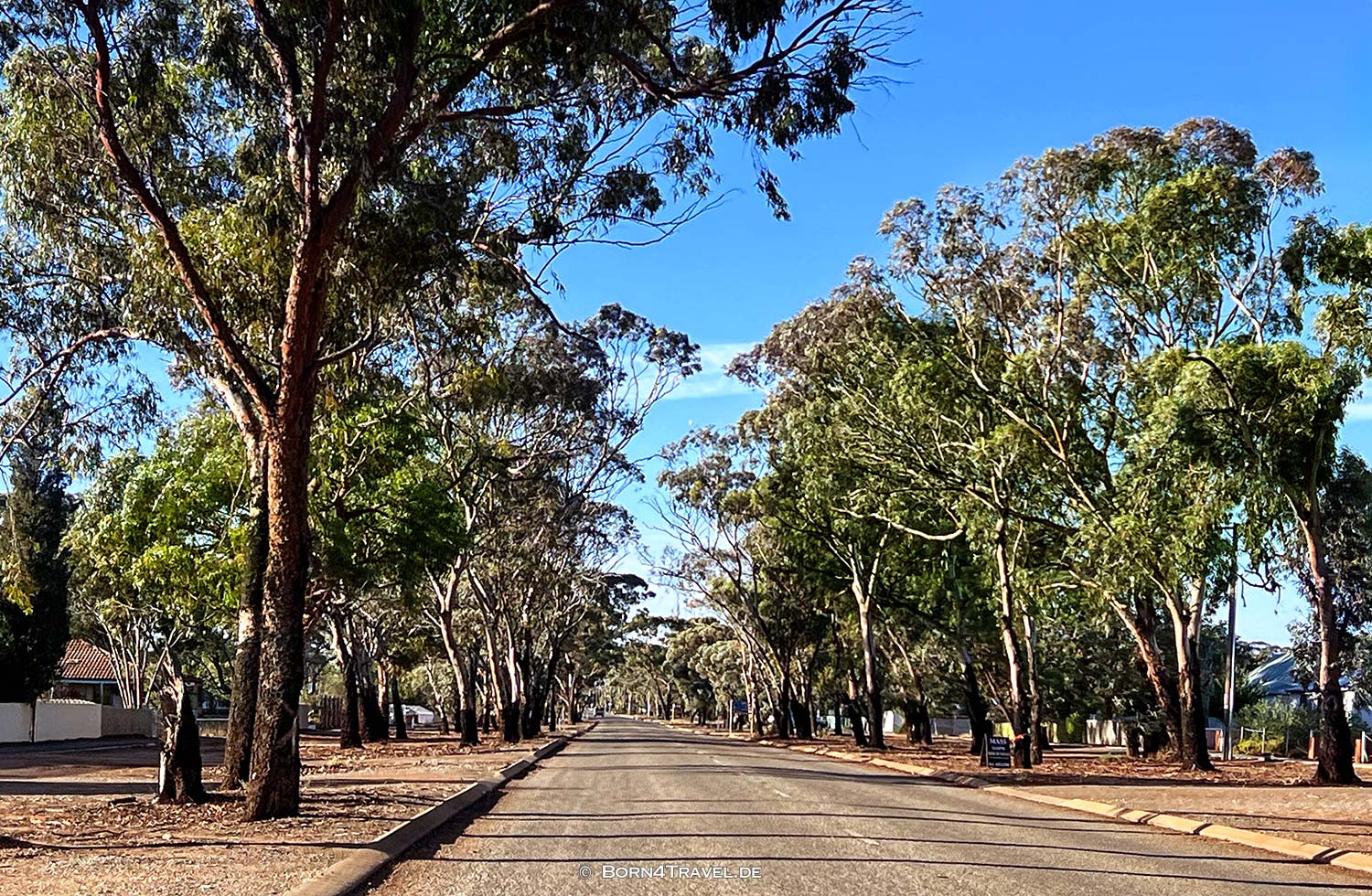 Norseman,Western Australia,born4travel.de