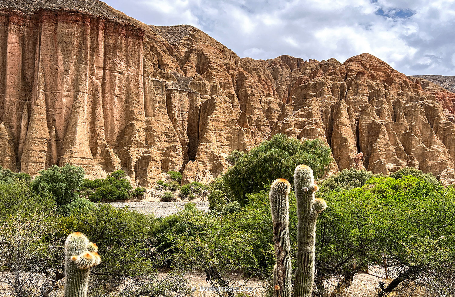 Quebrada de Palala near Tupiza,Bolivien,born4travel.de Quebrada de Palala near Tupiza,Bolivien,born4travel.de
