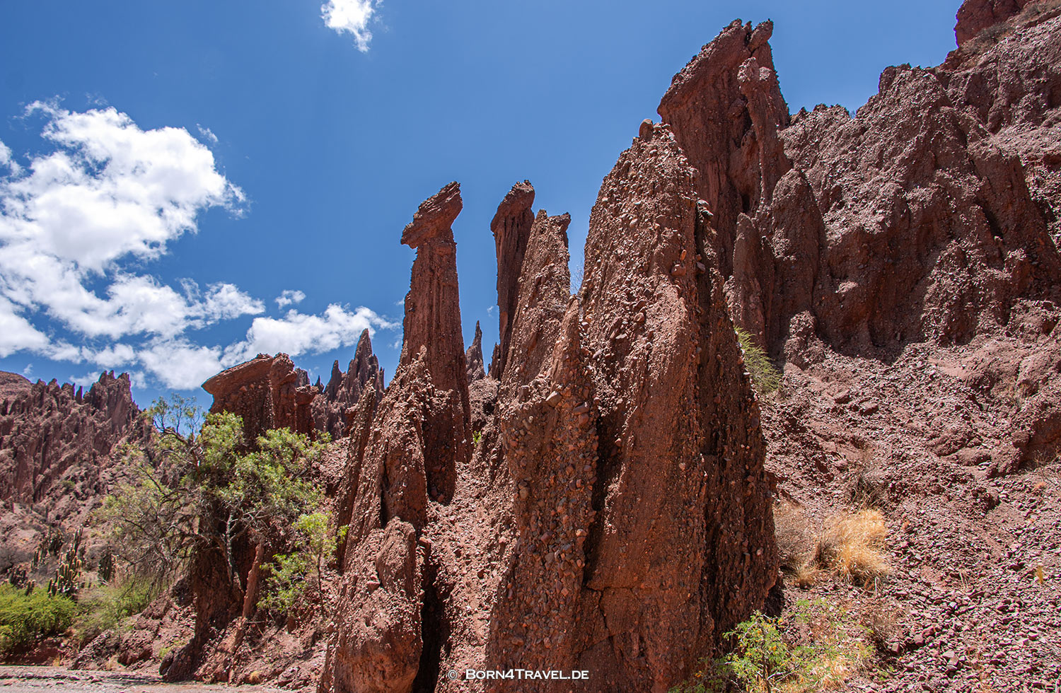 Valle de los Machos,Tupiza,Bolivien,born4travel.de Valle de los Machos,Tupiza,Bolivien,born4travel.de