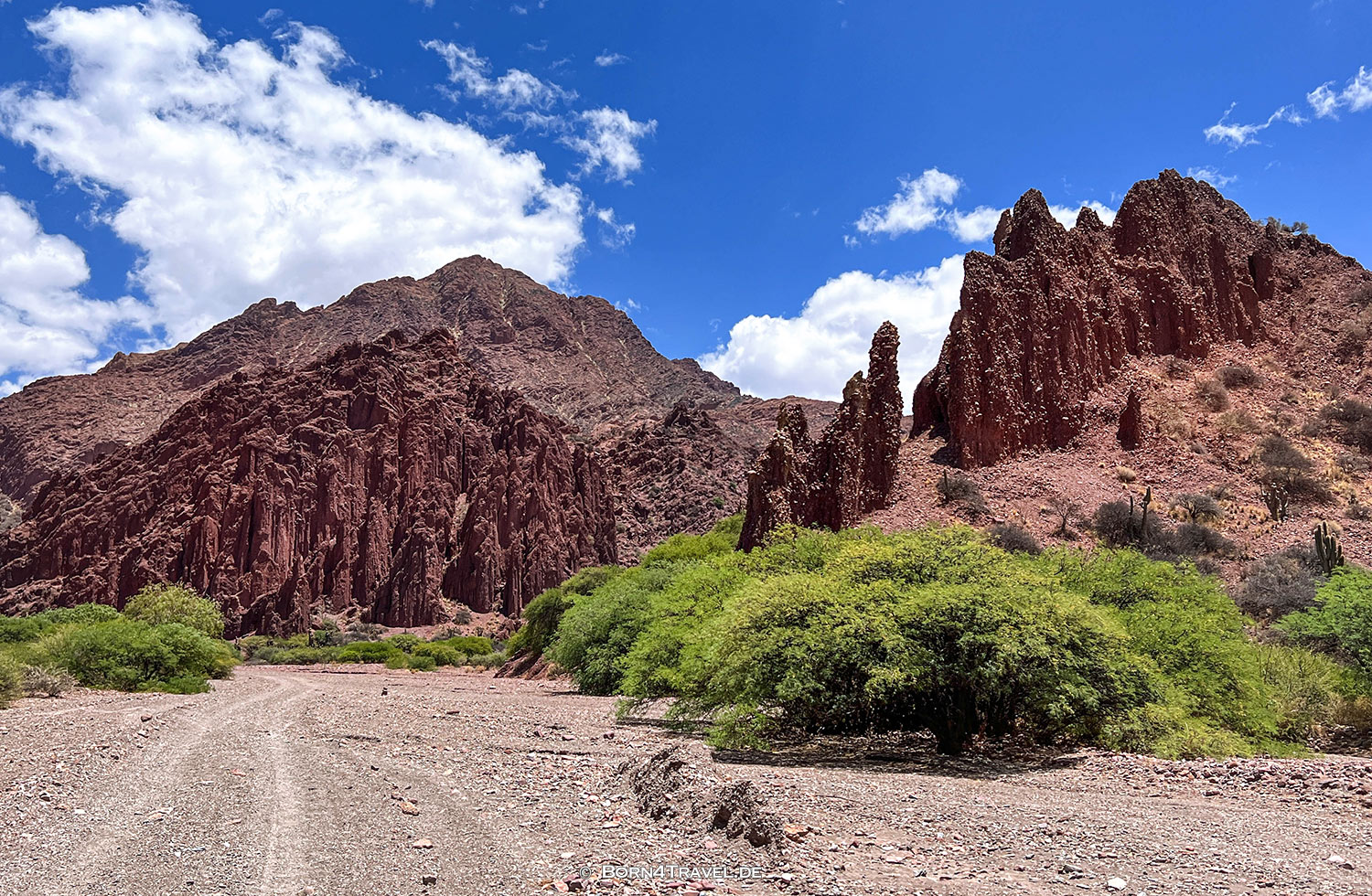 Valle de los Machos,Tupiza,Bolivien,born4travel.de Valle de los Machos,Tupiza,Bolivien,born4travel.de
