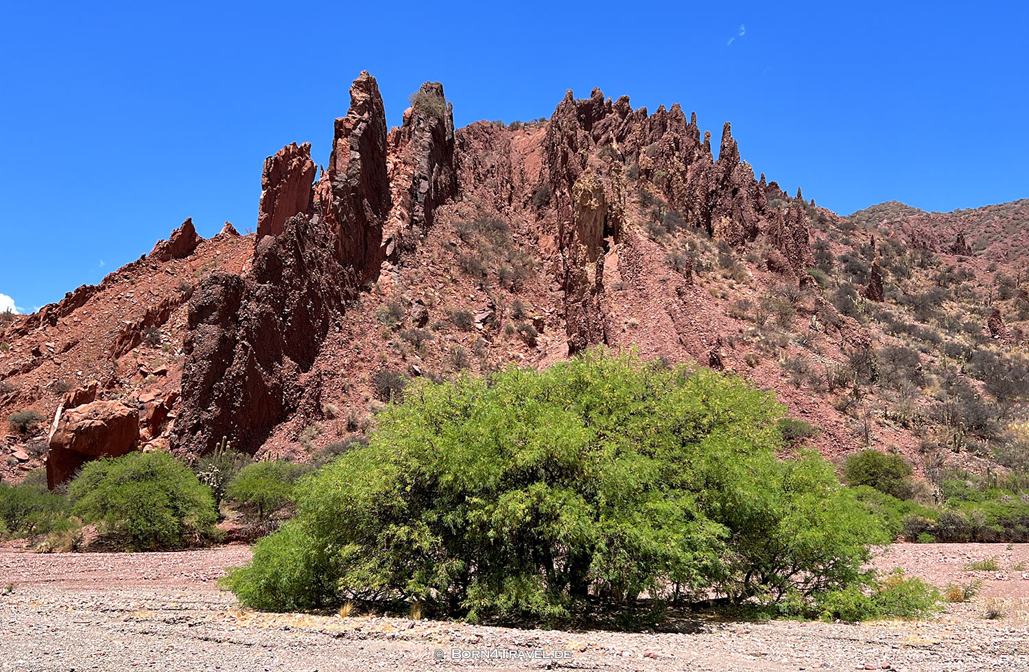 Valle de los Machos,Tupiza,Bolivien,born4travel.de Valle de los Machos,Tupiza,Bolivien,born4travel.de
