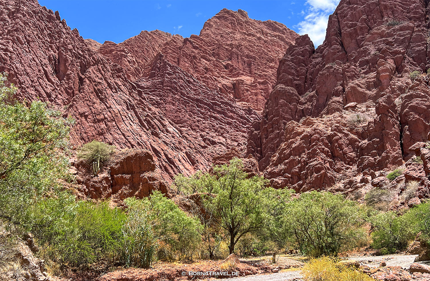 Cañon del Inca,Tupiza,Bolivien,born4travel.de Cañon del Inca,Tupiza,Bolivien,born4travel.de