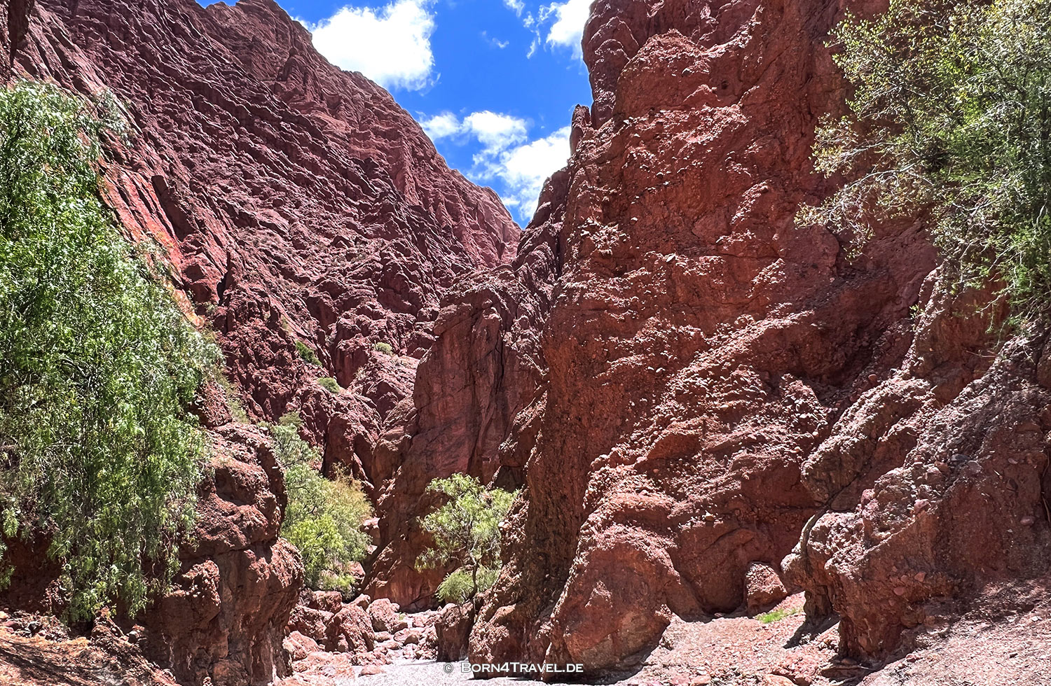 Cañon del Inca,Tupiza,Bolivien,born4travel.de Cañon del Inca,Tupiza,Bolivien,born4travel.de