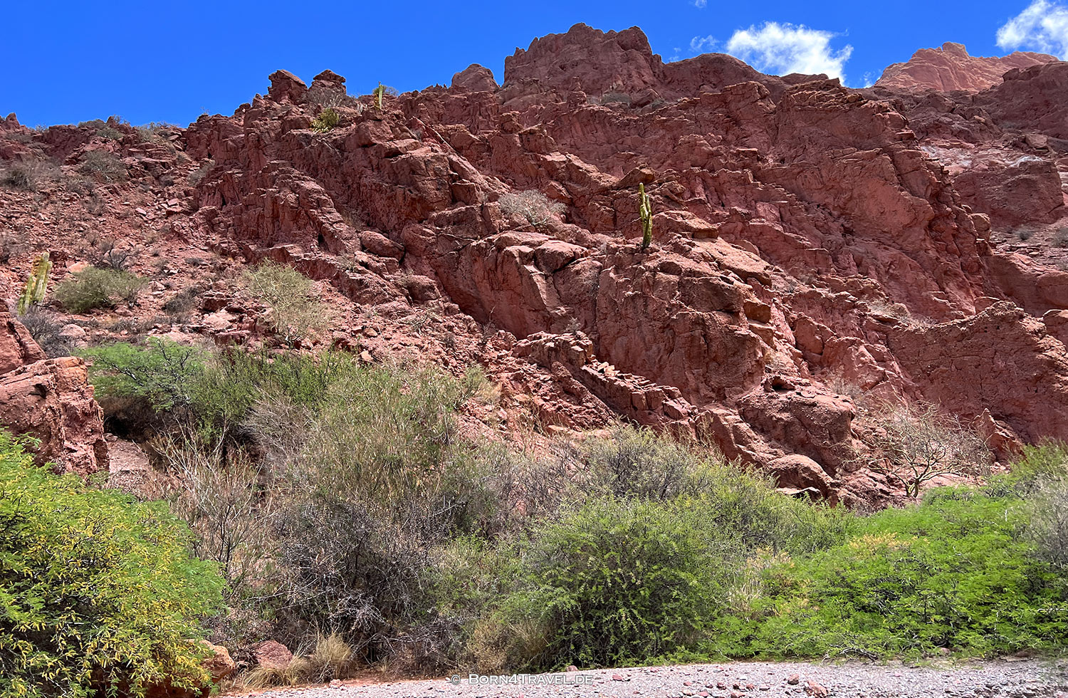 Valle de los Machos,Tupiza,Bolivien,born4travel.de Valle de los Machos,Tupiza,Bolivien,born4travel.de