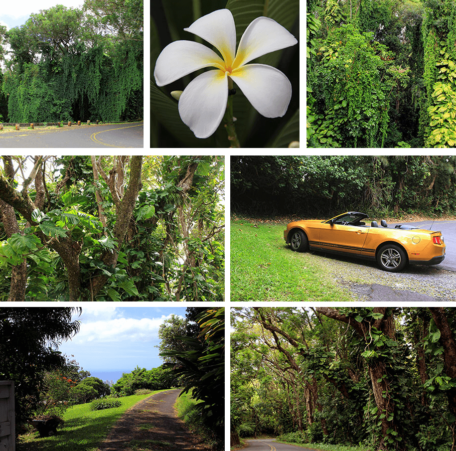 Tantalus Drive,Hawaii,USA Tantalus Drive,Hawaii,USA