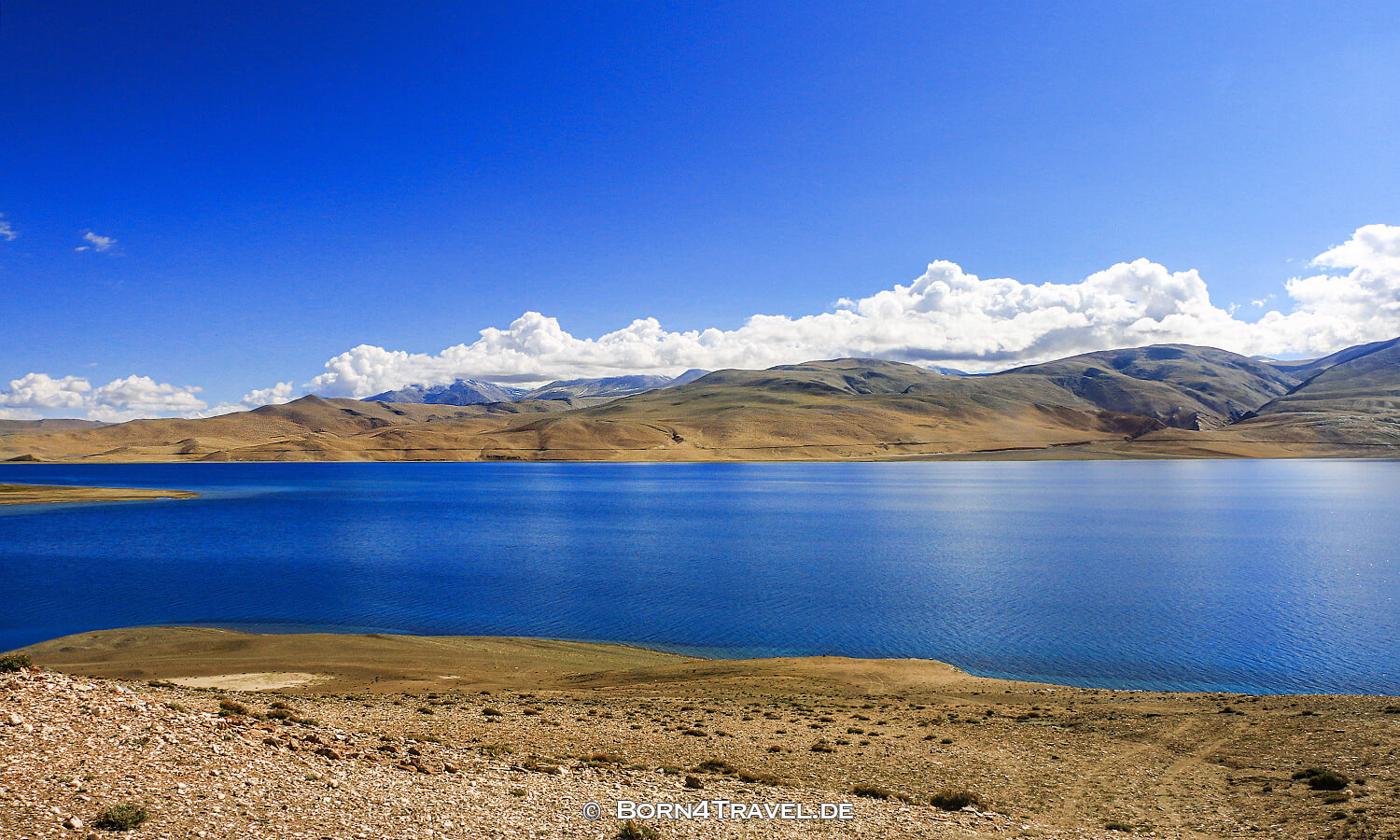 Karzok am Tso Moriri,Changtang,Ladakh,Himalaya,Indien,born4travel.de