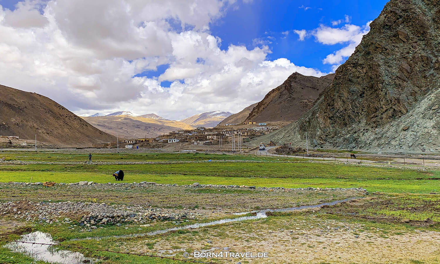 Changtang,Ladakh,Himalaya,Indien,born4travel.de