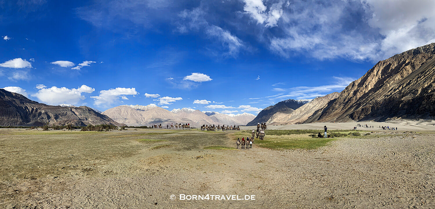 Sand Dunes Festival in Nubra Valley, July 2019,Ladakh,Himalaya,Indien,born4travel.de