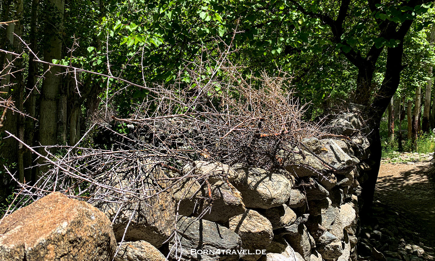 Turtuk Village,Nubra Valley,Ladakh,Himalaya,Indien,born4travel.de