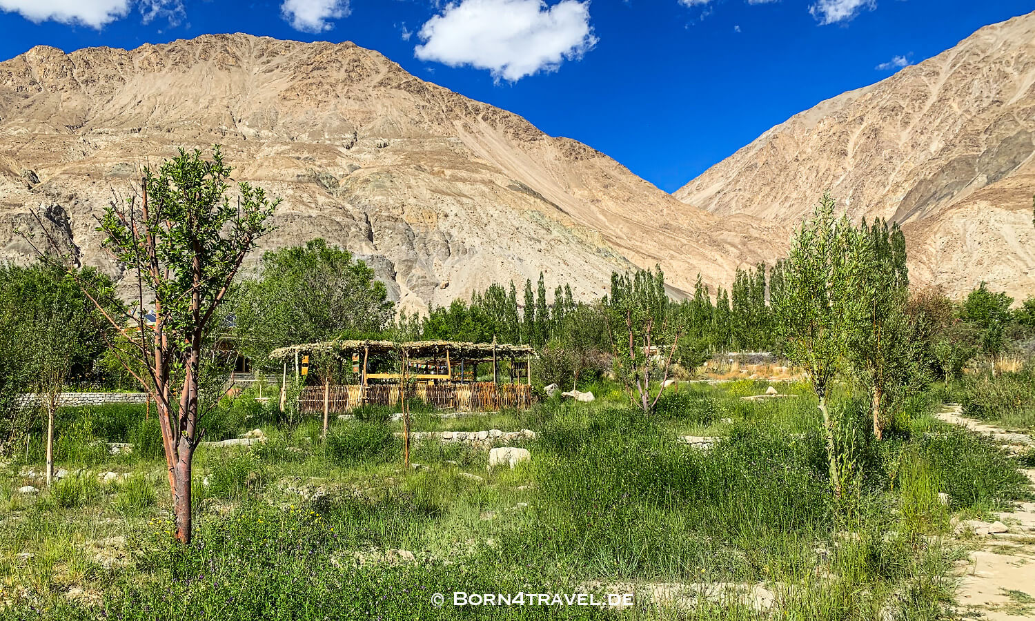 Lchang Nang Retreat, Sumur in Nubra Valley,Ladakh,Indien,born4travel.de Lchang Nang Retreat, Sumur in Nubra Valley,Ladakh,Indien,born4travel.de