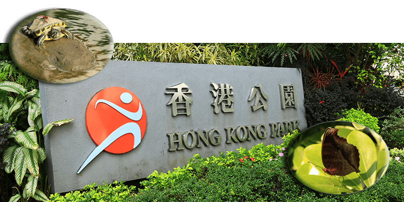 Hongkong Park,HKG Island