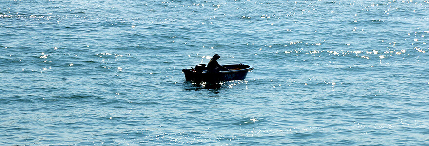 hongkong,boat hongkong,boat