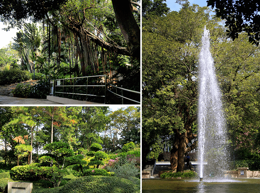 HongKong,Kowloon Park HongKong,Kowloon Park