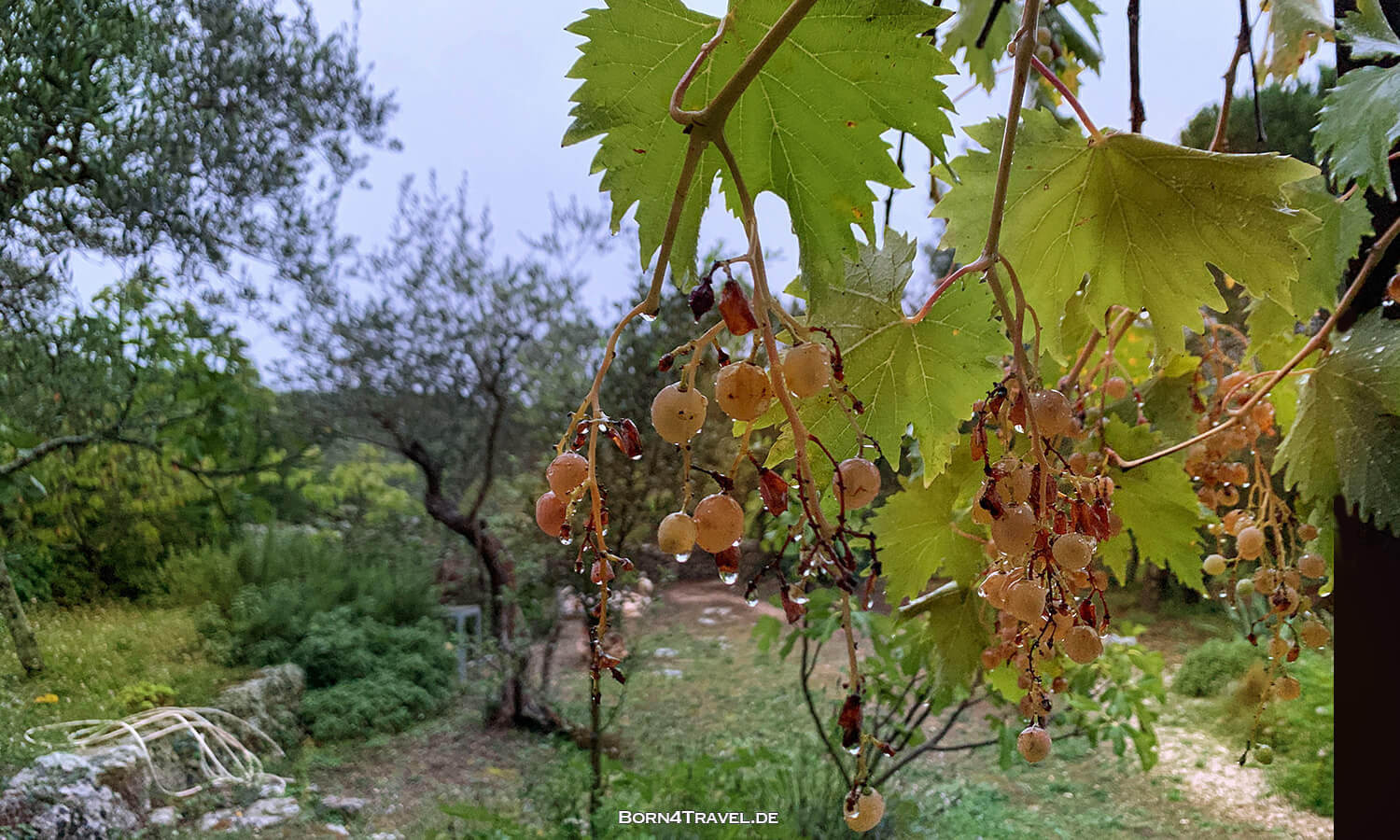 Dimora Casanoja bei Noci,Apulien,Puglia,Italien,born4travel.de